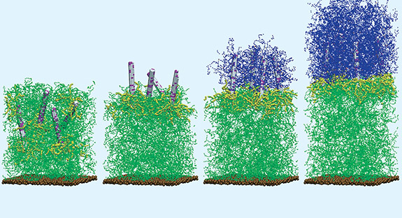Self-generating composites: In the computer-model simulation, the composite is cut (far left) and the nanorods begin a migration to the cut interface. In the third image, the polymerization from the rods surface and cross-linking begins, culminating in the newly regrown gel (final image).