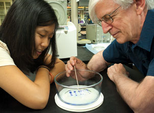 Roger Hendrix, Distinguished Professor of Biological Sciences in Pitt’s School of Arts and Sciences, studies bacteriophages, which are viruses that evolved at least 3.5 billion years ago. Here, Hendrix works with Bonnie La, a second-year doctoral student, as they perform an electrophoretic analysis of the proteins of one of the phages studied in Hendrix’s lab.