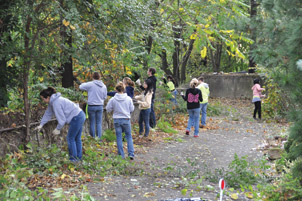 Students work on paring back shrubbery in South Oakland’s Oakcliffe Overlook Park & Greenway, a protected greenway within the City of Pittsburgh. 