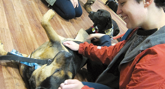 Nordy’s Place in the William Pitt Union hosted people and pets as part of a special Oct. 29 Halloween treat. Animal Friends, an Ohio Township-based shelter, brought two of its canine residents to the popular student hangout for a session of pet therapy—open to anyone who felt like petting or hugging a four-legged friend. Sponsored by Pitt’s Office of Community and Governmental Relations, the event also helped to remind the Pitt community about the annual Pitt’s People for Pets campaign. The University collects food, treats, and toys for Animal Friend’s Chow Wagon, which gives them to area food pantries. The goal is to ensure that pets remain with their families, even when economic times are tough. (Photo by Gary Kohr-Cravener)