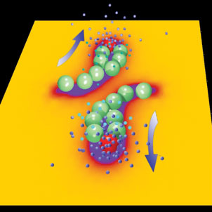 Microcapsules in "snake" formation as competing signaling capsules (shown in red) pull respective lines of target cells in opposite directions.