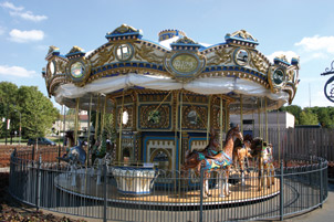 IMG_7785 IMG_7785