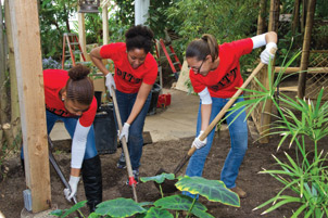 MLK-Phipps-project-025253_539_DIG_DSC_5673_02