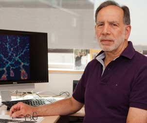 Peter Strick, a professor of neurobiology as well as director of the Systems Neuroscience Institute, codirector of the Center for the Neural Basis of Cognition, and a VA Senior Research Career Scientist, is researching areas of the brain that control movement and cognition. He said he has always been interested in the nature of volition and neural circuits.