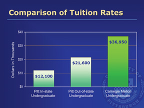 Winter 2008 Report to the Trustees | Pitt Chronicle | University of