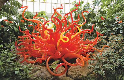 chihuly.jpg